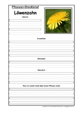 Pflanzensteckbrief-Löwenzahn.pdf